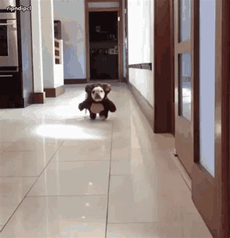 xxx doggy gif|Relevance Doggystyle Gifs